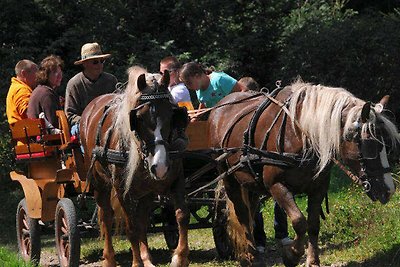 Appartamento Vacanza con famiglia St. Märgen