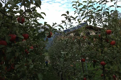 Appartamento Vacanza con famiglia Götzens