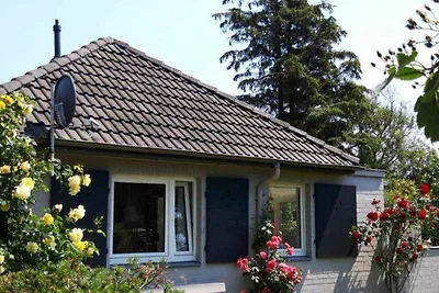 Feer Strunhüs Deelswai 49
