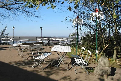 Vakantiehuis Ontspannende vakantie Varel