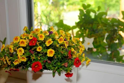 Vakantieappartement Gezinsvakantie Großostheim