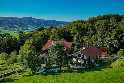 Appartamento Vacanza con famiglia Tiefgraben am Mondsee