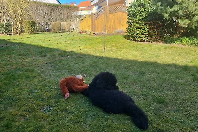 Ferienwohnung 1 Buchenkampweg