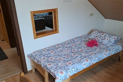 Vakantieappartement Gezinsvakantie Olsberg