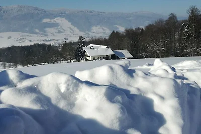 Appartamento Vacanza con famiglia Tiefgraben am Mondsee
