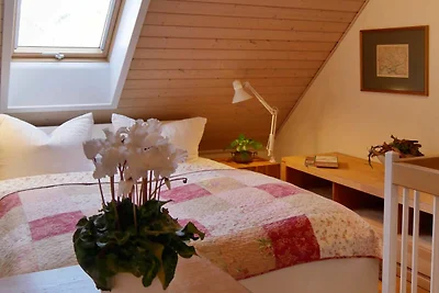 Albergo Cultura ed escursioni Wendisch Rietz