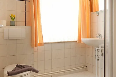 Schwarzer Bär Whg. Bär 02