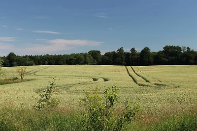 Vakantieappartement Gezinsvakantie Kuchelmiß
