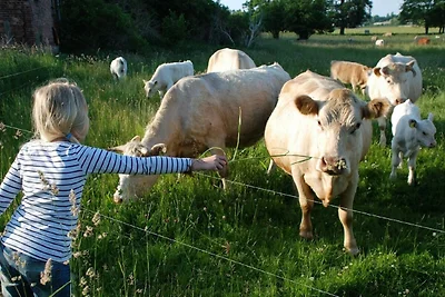 Appartamento Vacanza con famiglia Dargen