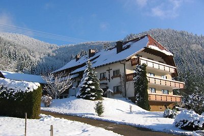 Vakantieappartement Gezinsvakantie Elzach