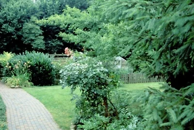 2. 3-Raum FeWo 2, 60 m², EG