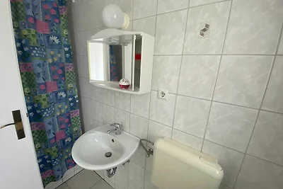Grauer Esel E1