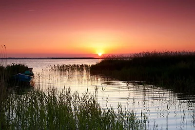 Casa vacanze Vacanza di relax Saal in Vorpommern