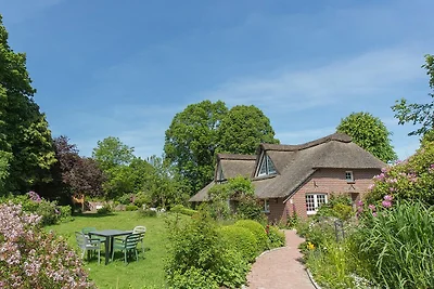 Kleines Reethuus Apartment