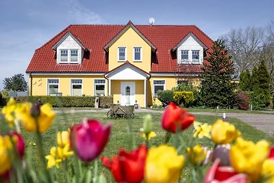 Apartament Dla rodzin Kühlungsborn