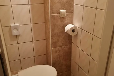 Hotel Cultuur en bezienswaardigheden Torgau