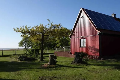 Casa vacanze Vacanza di relax Saal in Vorpommern