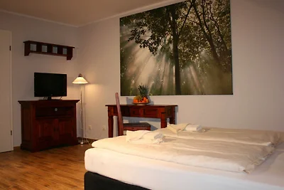 Albergo Cultura ed escursioni Ückeritz
