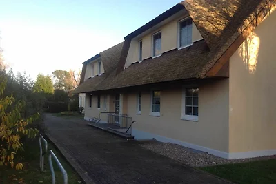 Reethaus mit Terrasse und Strandkorb, 1 SZ, m...