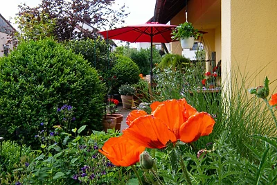 Ferienwohnung Am Paradies