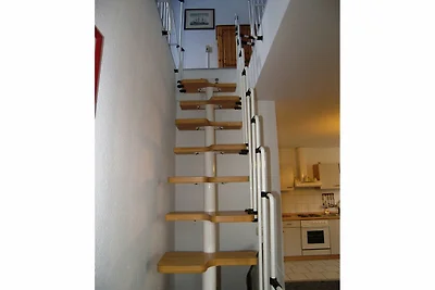 Wiesenwohnung