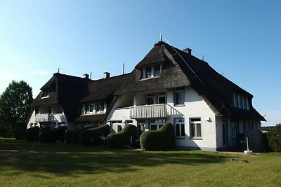 Albergo Cultura ed escursioni Stolpe auf Usedom