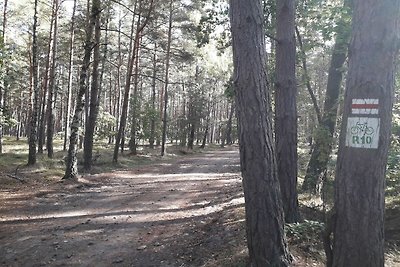 Vakantieappartement Gezinsvakantie Pobierowo