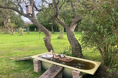 Studio-Apartment Ole Peerstall (EG)