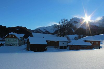 Vakantieappartement Gezinsvakantie Spital am Pyhrn