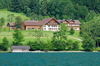 Appartamento Vacanza con famiglia Steinbach am Attersee