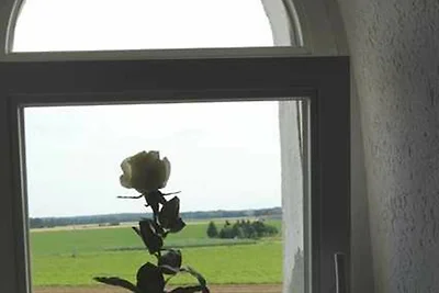 Casa vacanze Vacanza di relax Wittingen