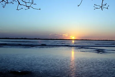 Ferienwohnung Albert
