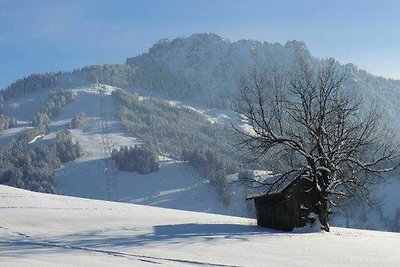 Vakantieappartement Gezinsvakantie Jungholz