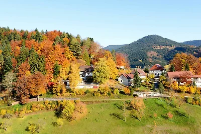 Appartamento Vacanza con famiglia Bad Peterstal-Griesbach