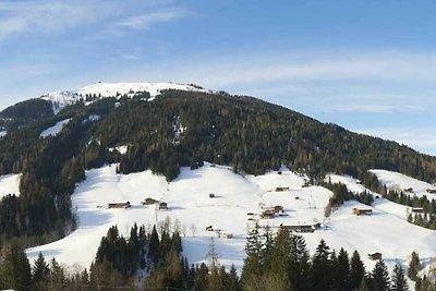 Appartamento Vacanza con famiglia Alpbach