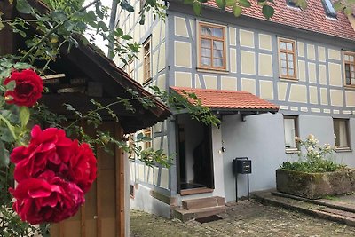 Vakantieappartement Gezinsvakantie Michelstadt