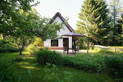 Reetdach Kastanienhaus (52m², 3-Raum, max 4...