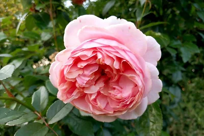 Ferienwohnung im Erdgeschoss