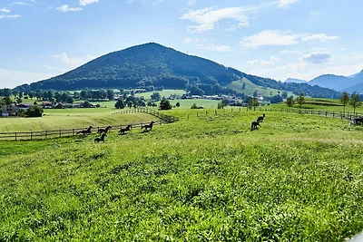 Apartment Gipfelglück