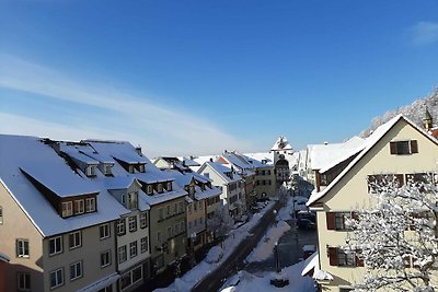 Vakantieappartement Gezinsvakantie Meersburg