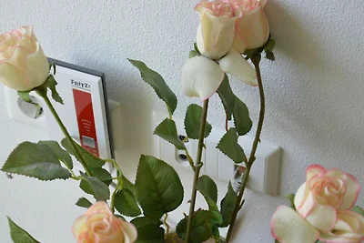 Ferienwohnung II, für max.
