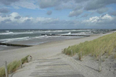 Ferienwohnung Ostseekrabbe 19