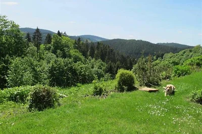 Ferienwohnung Schwalbenglück