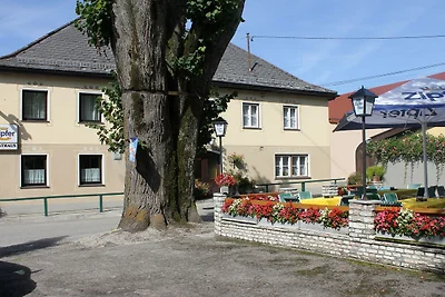 Albergo Cultura ed escursioni Eisenberg
