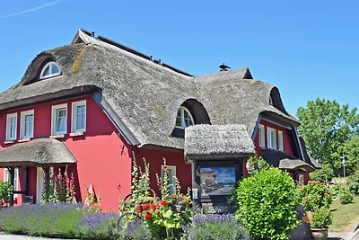Vakantieappartement Gezinsvakantie Alt Reddevitz