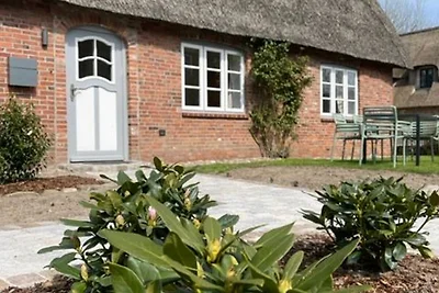 Casa vacanze Vacanza di relax Alkersum