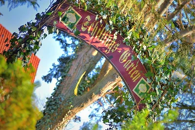 Albergo Cultura ed escursioni Groß Oesingen