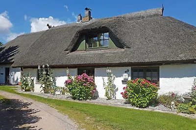 Vakantieappartement Gezinsvakantie Patzig