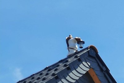 Beim Schlafwandler