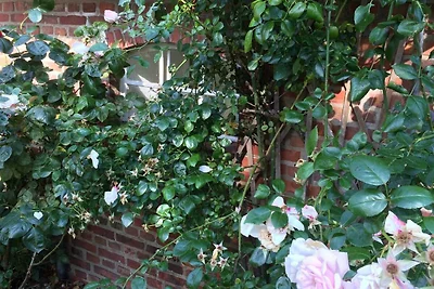 Casa vacanze Vacanza di relax Wrixum